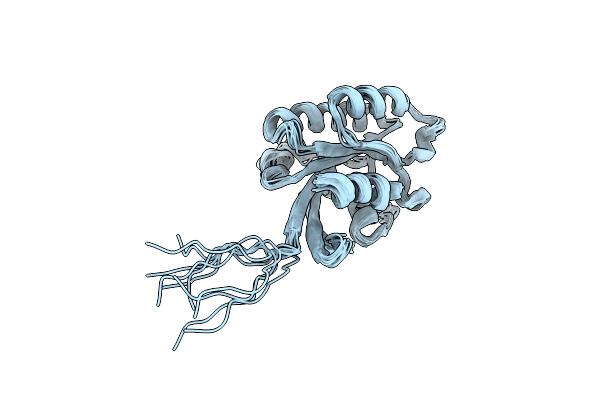 5YOZ image
