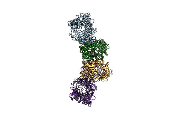 5YP1 image