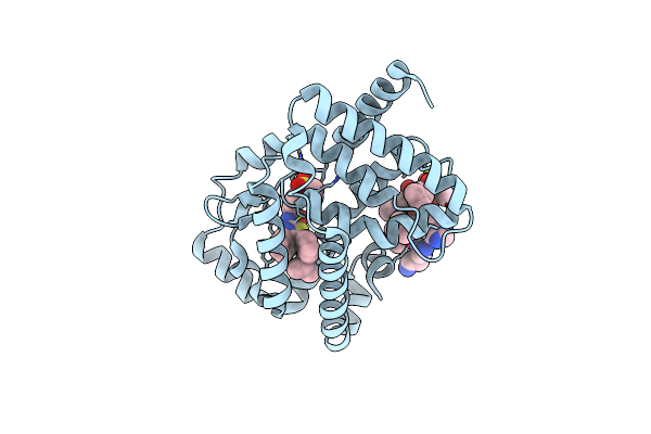 5YP5 image