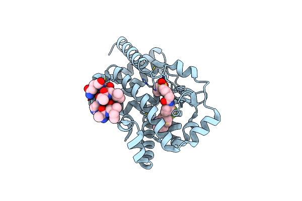 5YP6 image