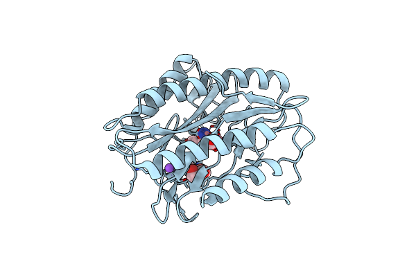 5YPD image