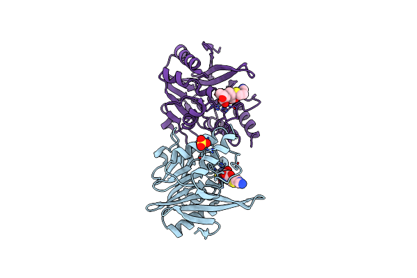 5YPL image