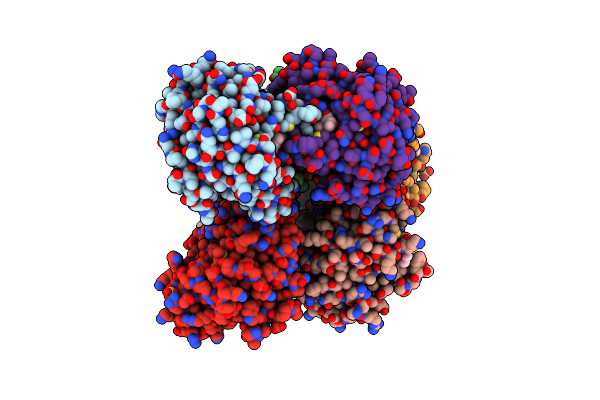 5YPM image