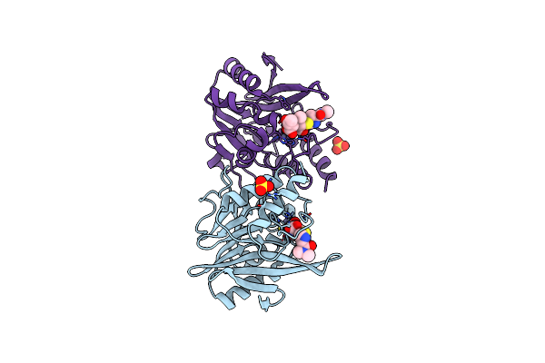 5YPN image