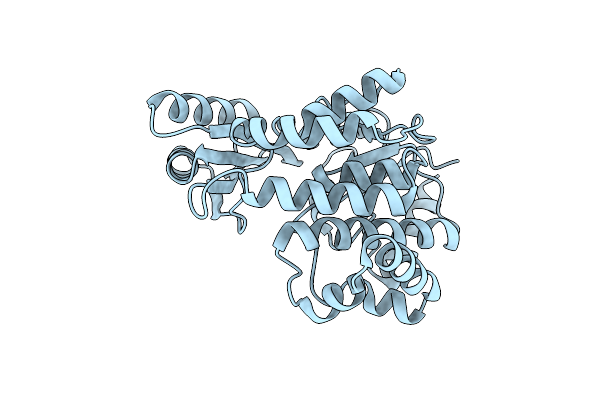 5YPV image
