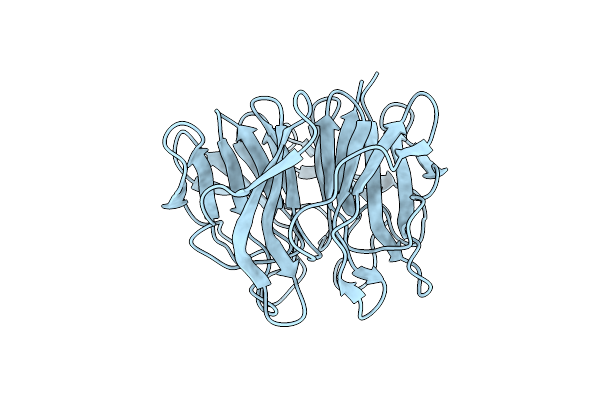 5YQ4 image