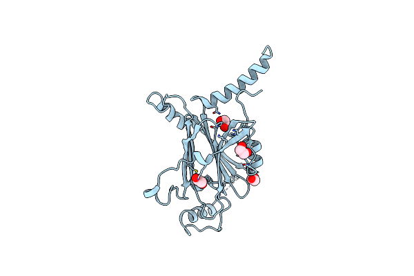 5YR9 image