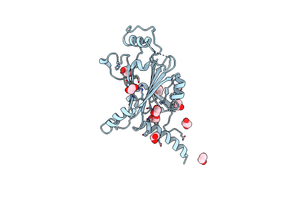 5YRB image