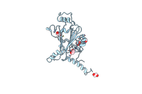 5YRC image