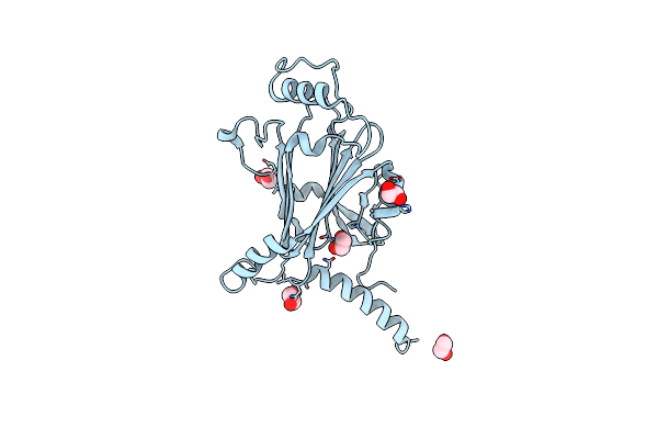 5YRD image