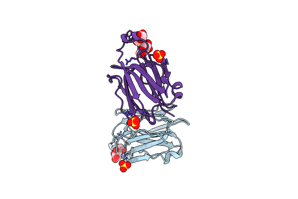 5YRI image