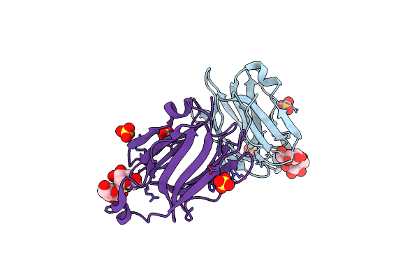 5YRL image