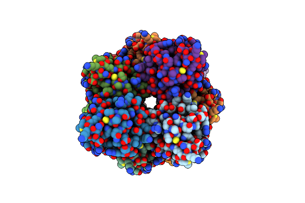 5YRN image
