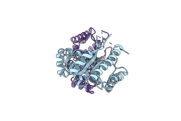 5YRP image