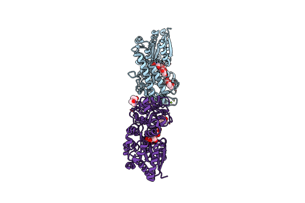 5YSD image