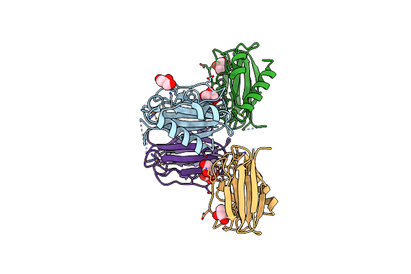5YSG image
