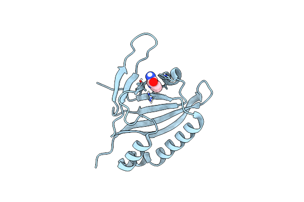 5YSI image