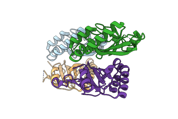 5YSK image