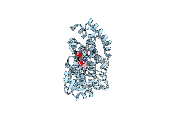 5YSM image