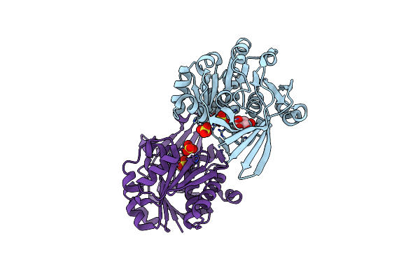 5YSQ image