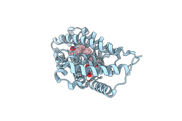 5YT2 image