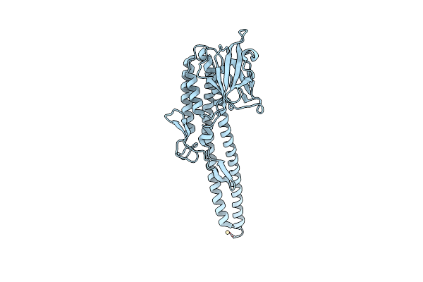 5YTI image