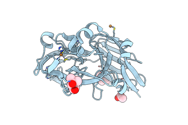 5YTL image