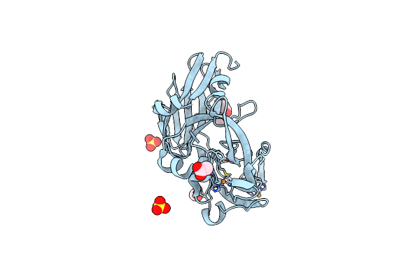 5YTM image