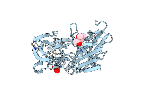 5YTN image