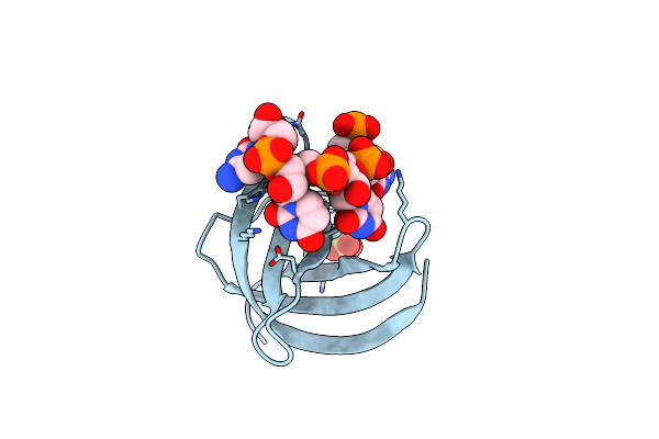 5YTS image