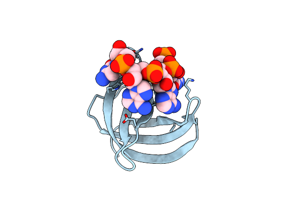 5YTX image