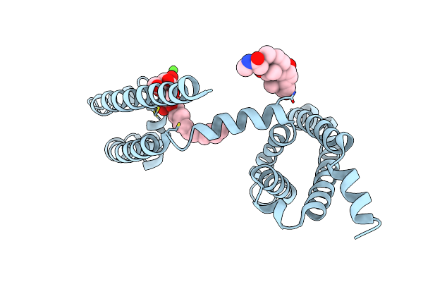 5YUC image