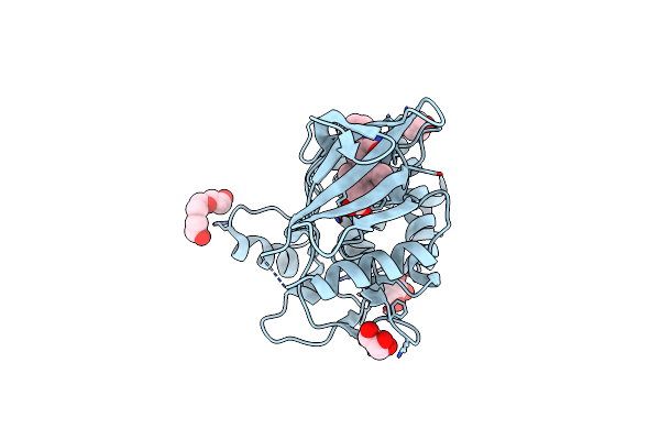 5YVC image
