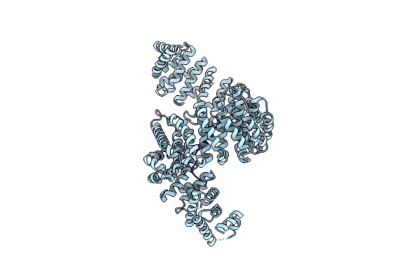5YVH image