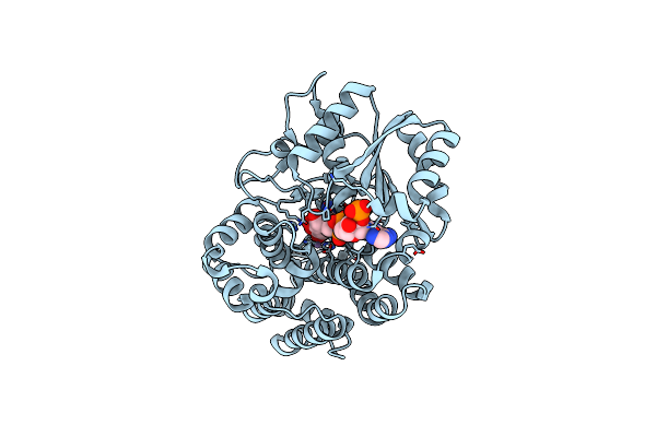 5YVM image
