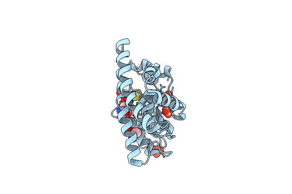 5YVN image