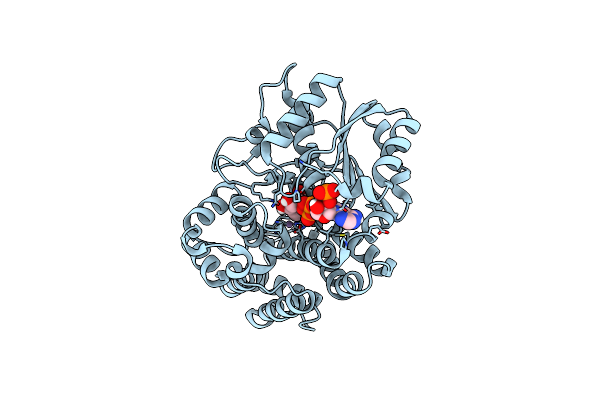 5YVS image