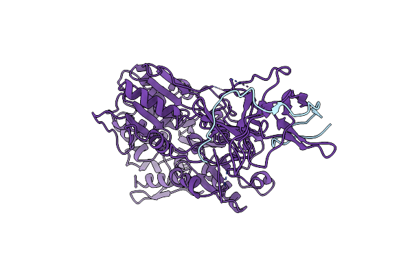 5YVY image