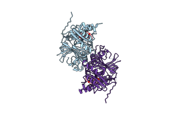 5YWK image