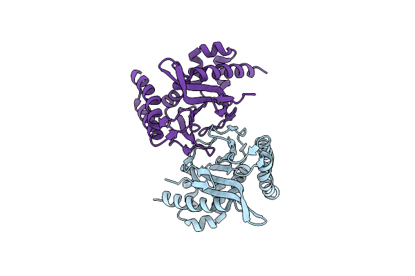 5YX3 image