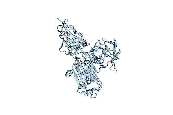 5YXO image