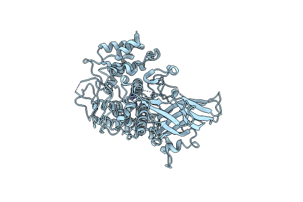 5YY2 image