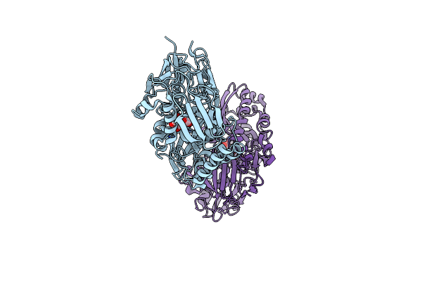 5YYB image