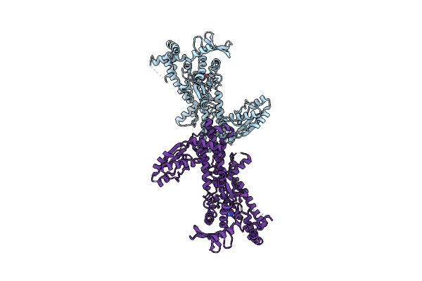 5YYM image