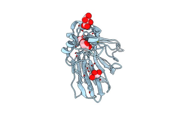 5YYP image