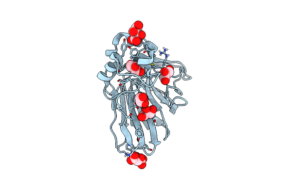 5YYQ image
