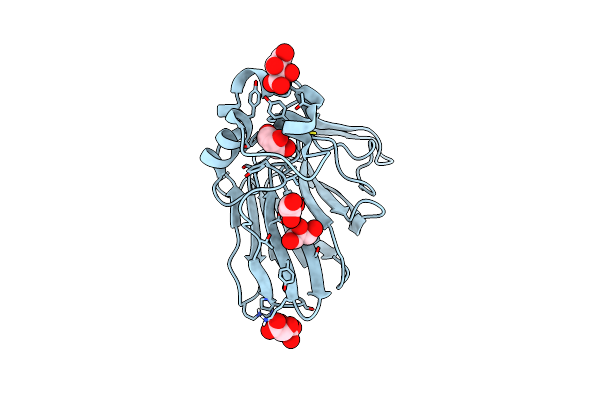 5YYR image