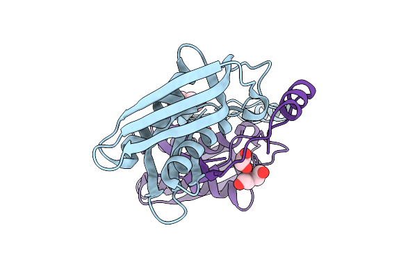 5YZ1 image
