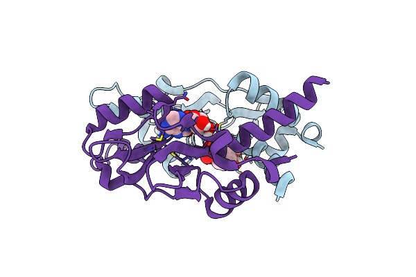 5YZ2 image