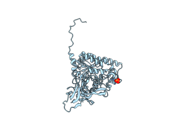 5YZ5 image